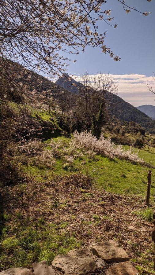Casa Rural Petricor, Ordesa Vio Extérieur photo